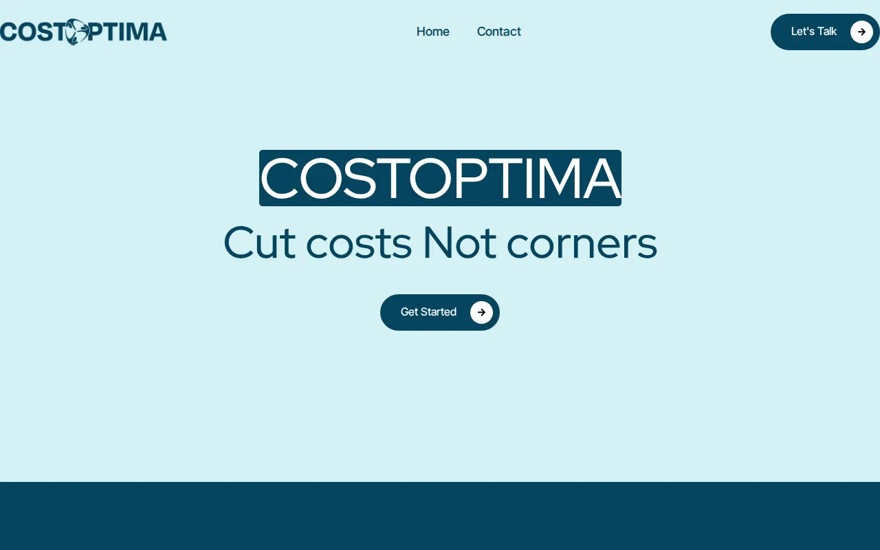 Cost Optima — Consulting